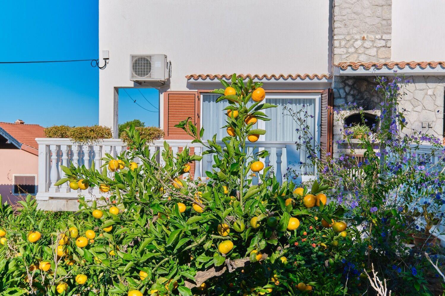 Apartment Luce Mali Lošinj Eksteriør billede