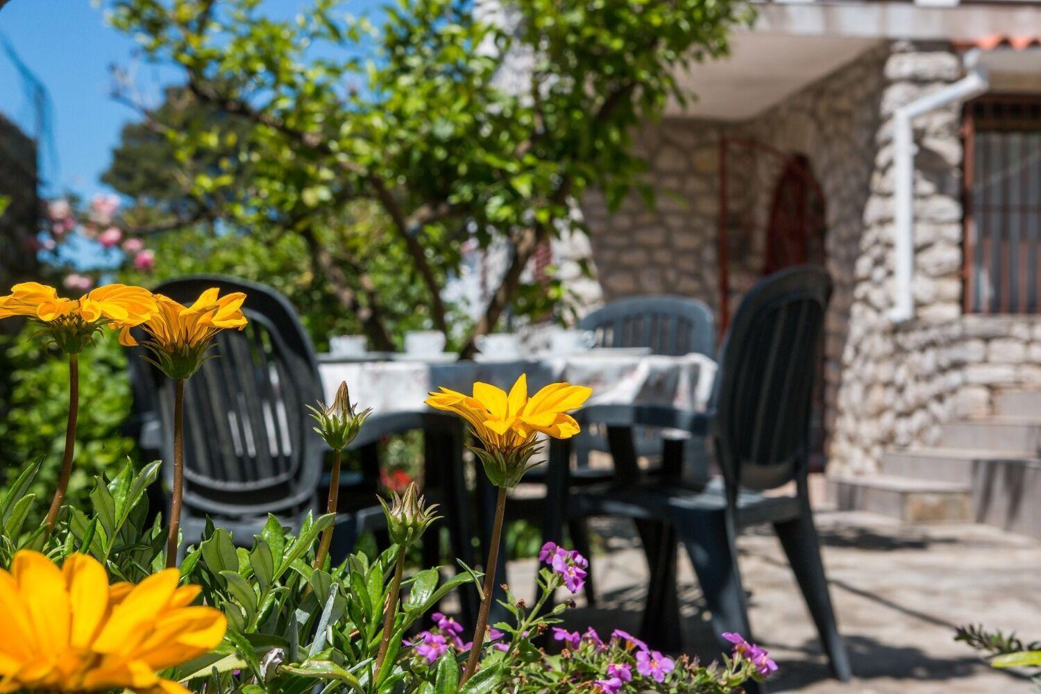 Apartment Luce Mali Lošinj Eksteriør billede