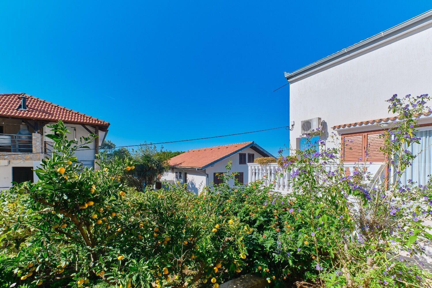 Apartment Luce Mali Lošinj Eksteriør billede